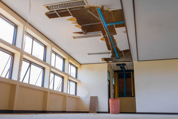 Best Carpet water damage restoration  in Waxhaw, NC