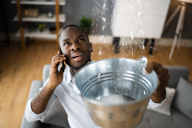 Best Flood damage cleanup  in Waxhaw, NC