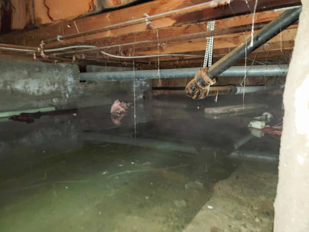Best Emergency water damage restoration  in Waxhaw, NC