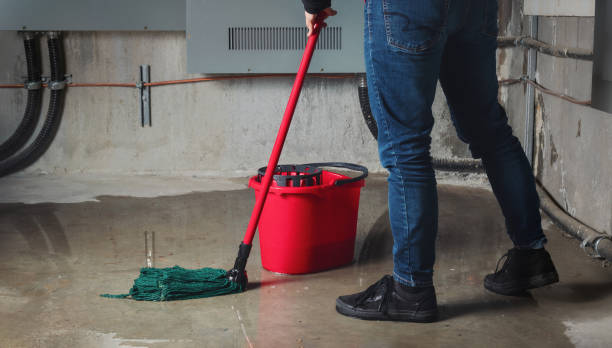 Best Water damage restoration process  in Waxhaw, NC