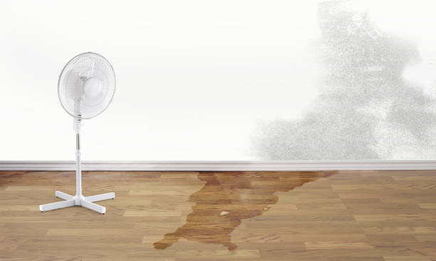 Best Water damage restoration near me  in Waxhaw, NC