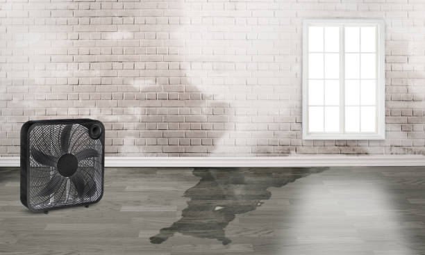 Best Residential water damage restoration  in Waxhaw, NC