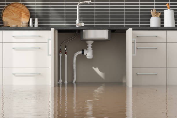 Best Water damage cleanup near me  in Waxhaw, NC